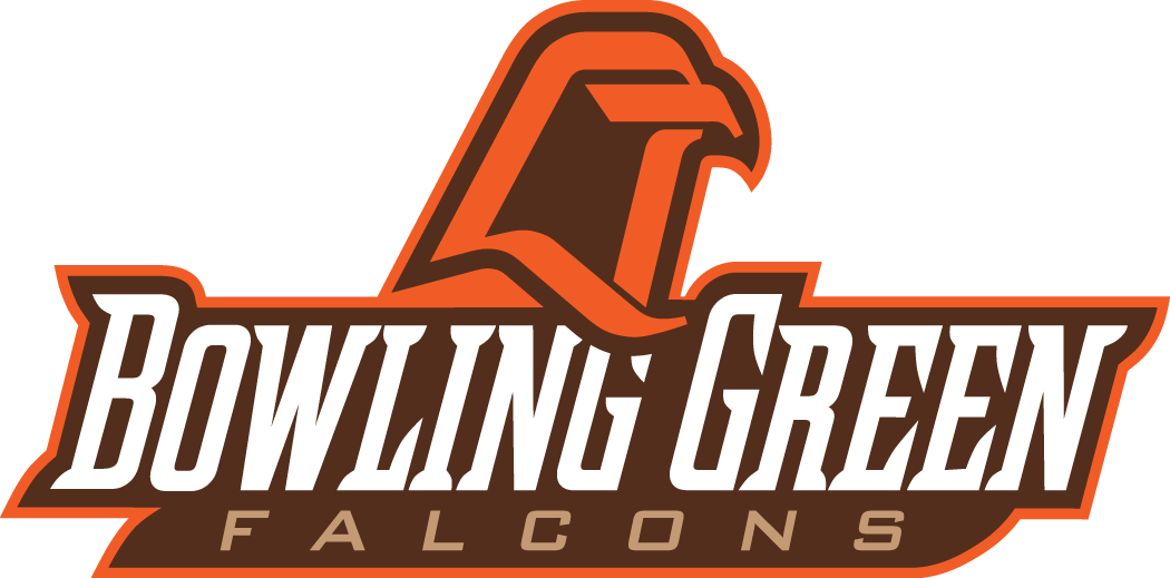 Bowling Green Falcons 1999-2005 Alternate Logo DIY iron on transfer (heat transfer)